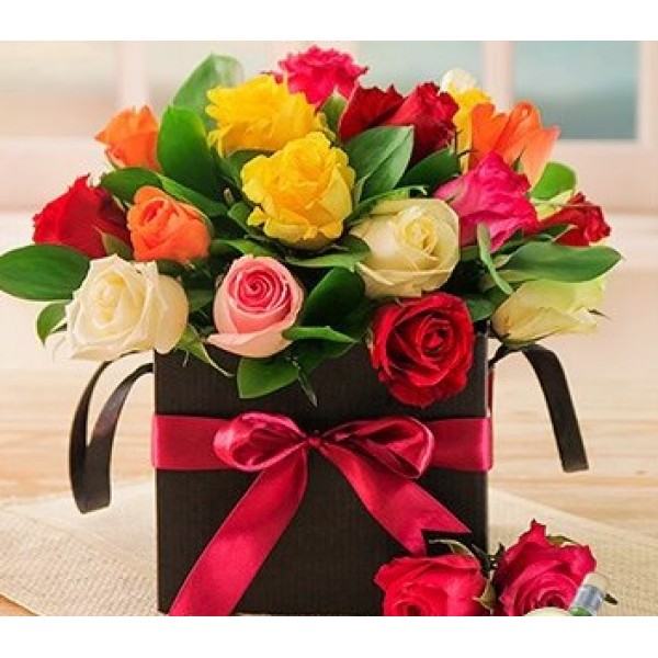 Mixed Roses in a Black Box